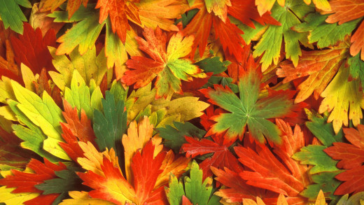 644188 (a): :1920x1080